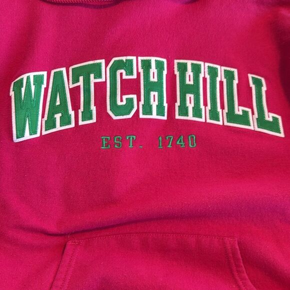 CHAMPION WATCH HILL HOODIE SWEATSHIRT PINK GREEN SWIFTIES PREPPY MEDIUM - Picture 5 of 6